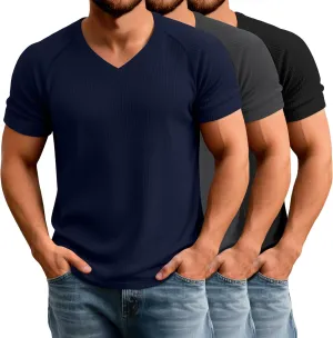 Riyiper 3 Pack Men's Muscle T Shirts Slim Fit Workout Bodybuilding Tees Ribbed Knit Textured V Neck Short Sleeve Tee Shirts