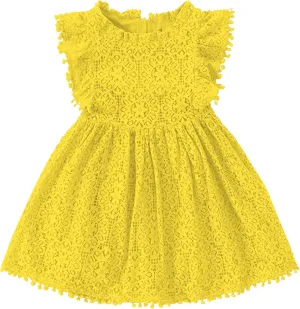 Toddler Girls Cute Pompoms Lace Floral Elegant Retro Swing Party Dress
